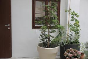 Apartment Addressa 