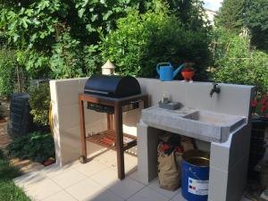 Apartment Branka 