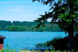 Apartmán Das Anwesen am See Feldberg Německo