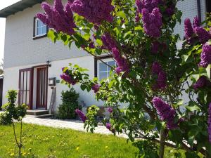 Talu Ferienhaus Herzlich Scheidegg Saksamaa