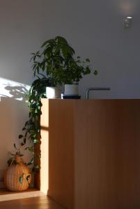 Excelentes vistas en la Plaza de la Verdura