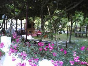 Helena Apartments Olympos Greece