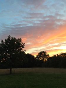 Dawn Chorus Holidays