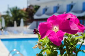 Hotel Boulas Agistri Greece