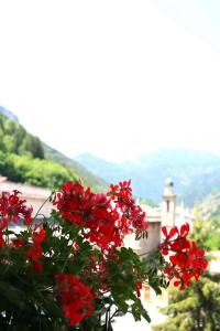 Hotels Auberge Saint Martin : Chambre Double avec Balcon