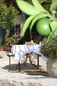 B&B / Chambres d'hotes Les Orangers : photos des chambres