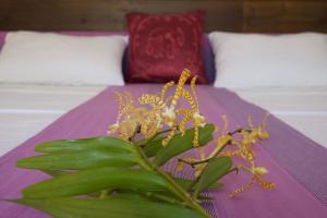 Sanda Eliya Resort
