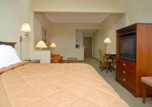 King Suite - Disability Access/Non-Smoking room in Comfort Suites Gadsden Attalla
