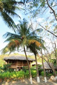 Santa Teresa, Puntarenas Province, Costa Rica.