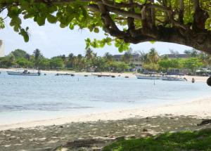 Beach One Bedroom Suite A22