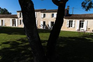 Les Cinq Sens du Château Mayne Lalande photo 6