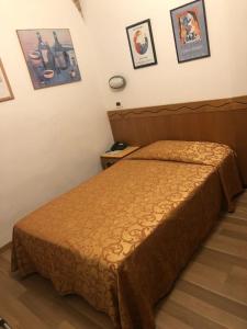 Single Room room in Hotel Nuova Italia