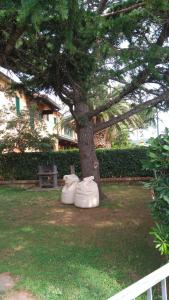 Casa Santa Margherita Bis