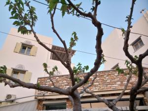 Best View House Tinos Greece