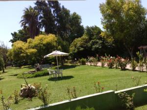 Alexia Apartments & Studios