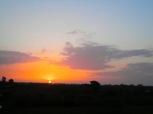 Alexia Apartments & Studios