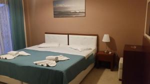 Deluxe Double or Twin Room with Pool View