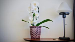 In Swiss Home - Barfüsserplatz BAR street Apartment