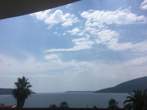 Apartments Boka Residence