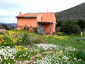 Agriturismo Glamping Erbe Matte img77