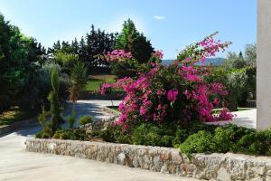 V&G platinum Villa Argolida Greece