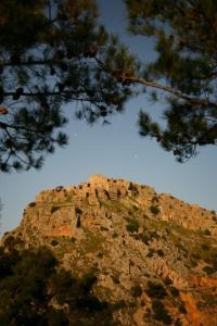 Pyrgos Houses and Restaurant