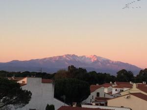 Hotels Le Galion Hotel et Restaurant Canet Plage - Logis : photos des chambres
