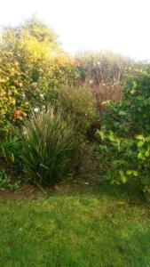 Maisons de vacances la fregate blanche : photos des chambres