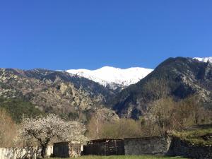 Maisons de vacances SARL l'Alzina : photos des chambres