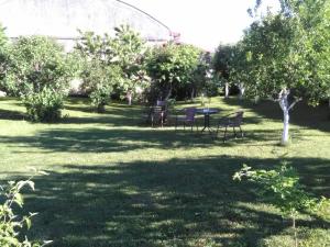 Apartment Tomašević