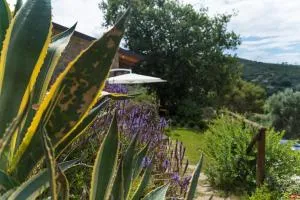 Casa brillocco Castellabate - Montecorice