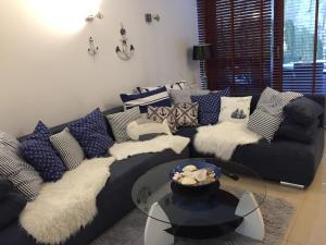 Apartament Wisełka