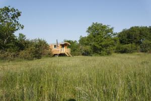 Tentes de luxe Un Chemin en Quercy : photos des chambres