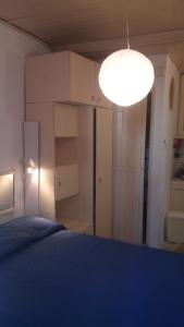 Apartment Konjajeva