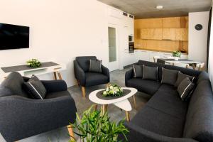 Deluxe Apartment with Panoramic View and Terrace room in Residence Trafick