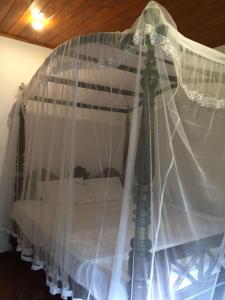 Green Herbal Ayurvedic Eco-Lodge