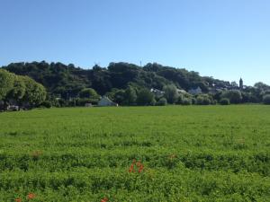 Maisons de vacances Gite 