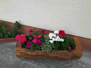 Apartman Petra & Tena