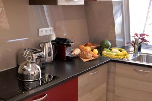 Appartements Les Suites Du Cygne : photos des chambres