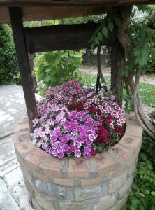 chez Myla chambre avec tv écran plat et salle de bain privative