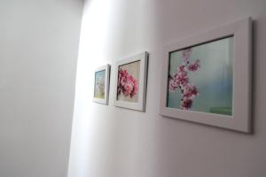 Apartments and Rooms Oliva