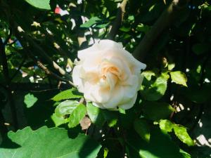 Badepensionat Sandloppen