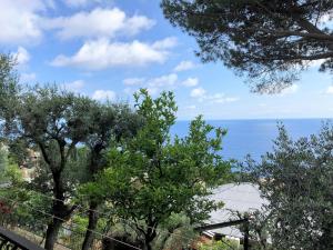 House Levante by Holiday World