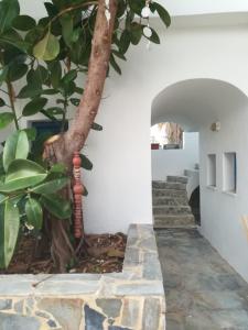 Bellavista Sunset Apartments Lasithi Greece