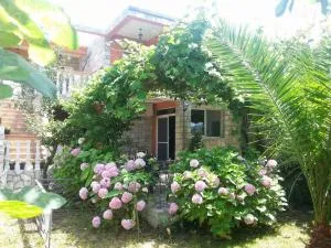 Bar-Apartman 2 - Željeznica