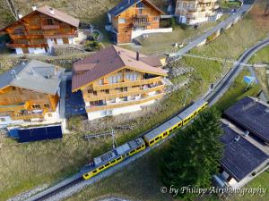 Holiday flat #1, Chalet Aberot, Wengen, Switzerland