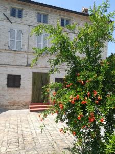 Casa Vacanze da Peppa