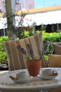 Polizotou Rooms Thassos Greece