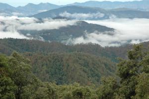 Binsar Forest Retreat