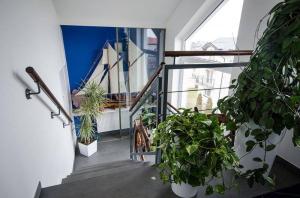 Pokoje Gościnne Hafen Guesthouse - Władysławowo